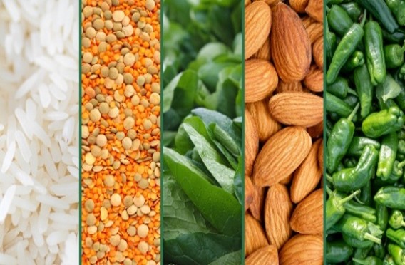 lynfase_blurry_default_light